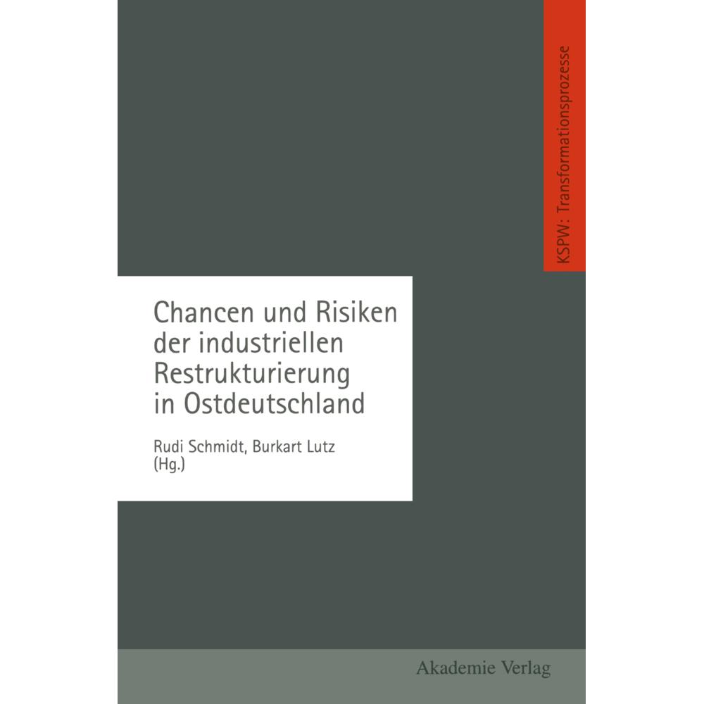 Chancen und Risiken der industriellen Restrukturierung in Ostdeutschland, Fachbücher von Rudi Schmidt, Burkart Lutz