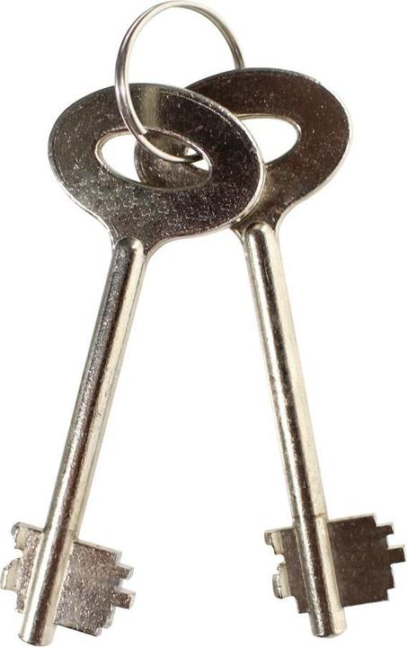 Immagine prodotto Rottner Cash Matic (4.48 l)