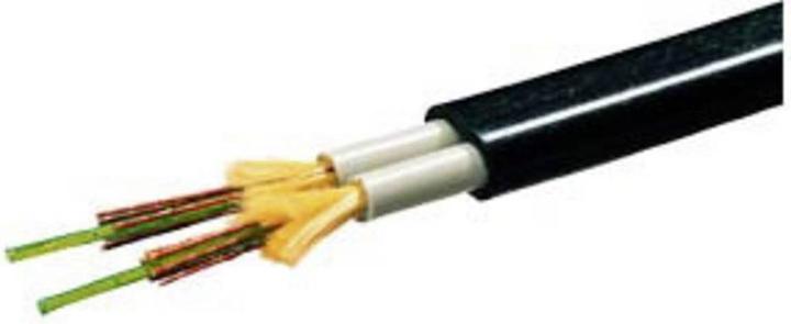 Actual product image Siemens Fibre (CAT8.1, 130 m)