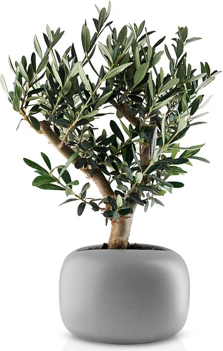 Produktbild Eva Solo Stone Blumentopf Ø 19 cm