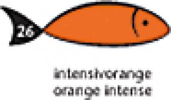 Produktbild Rainbow Kopierpapier farbig A4 (120 g/m², 250 x, A4)