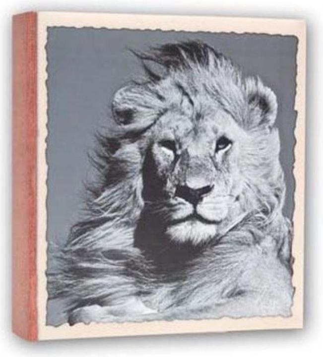 Immagine prodotto ZEP WL57100 Album Slip-in 100 foto 13x19 cm - 12 album