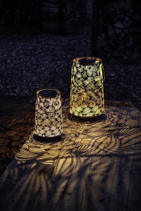 Image du produit STT Flora