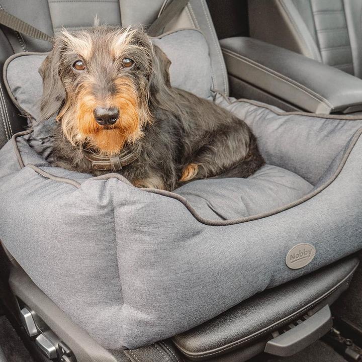 Actual product image Nobby Kadek (Dog, Washable)