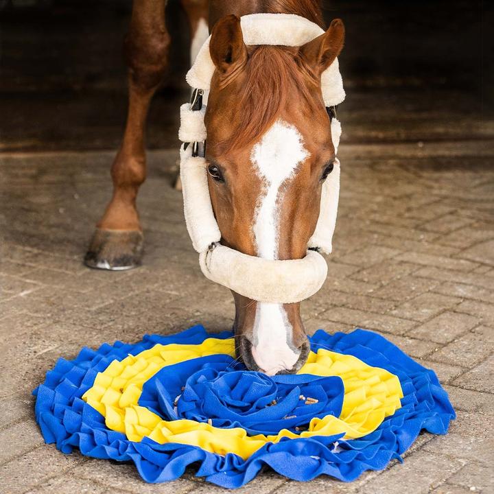 Actual product image Qhp Digging mat for horses