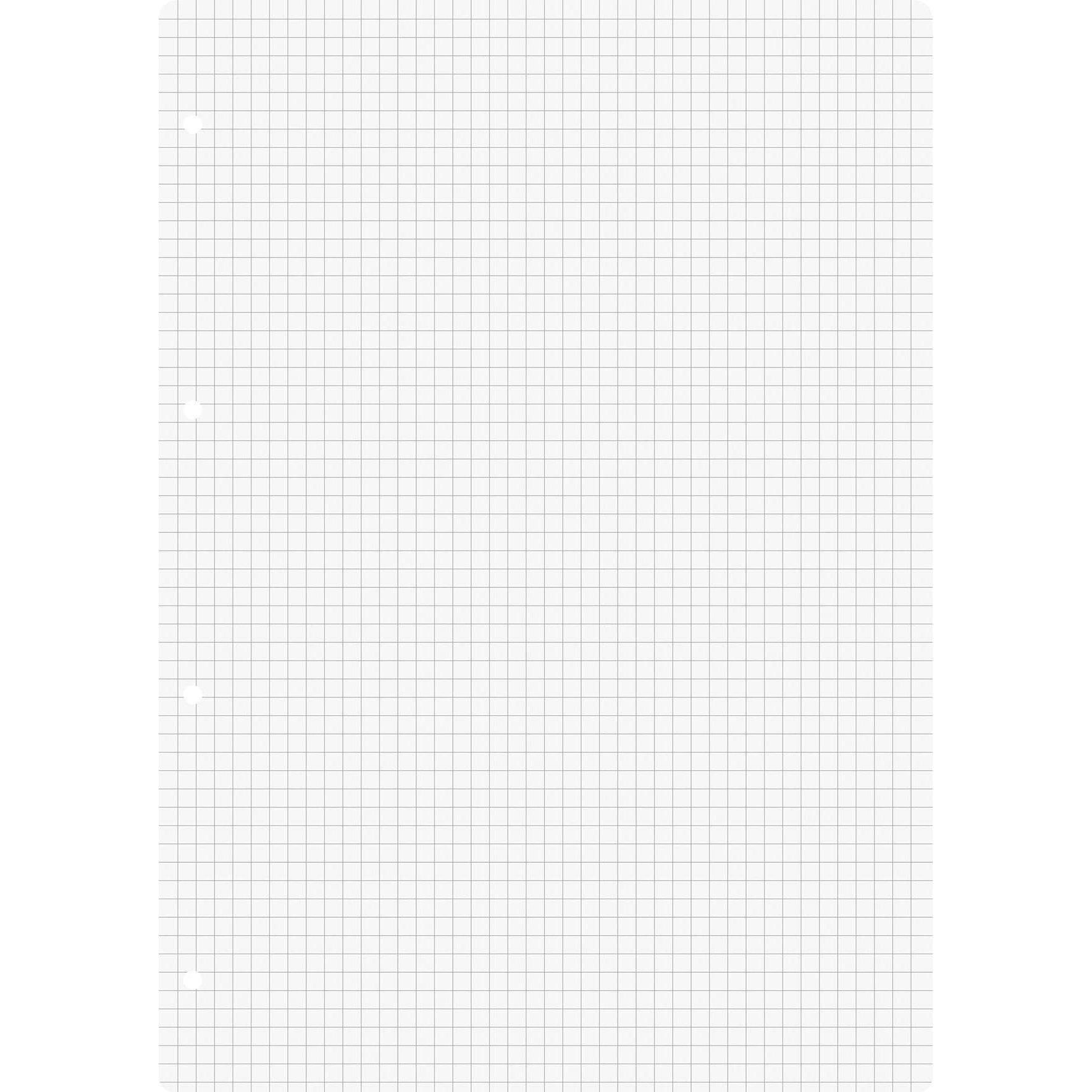 Brunnen, Ordner Zubehör, Ringbucheinlagen A4 kariert