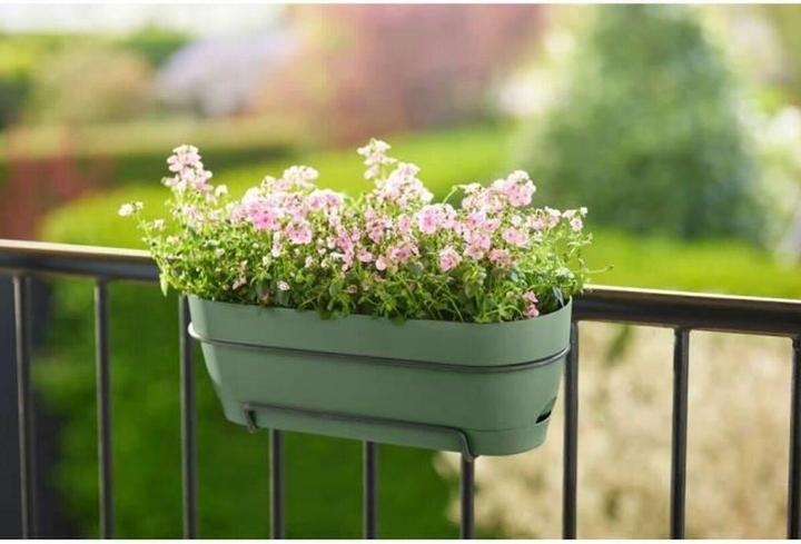 Produktbild Elho Vibia Campana (18 cm)
