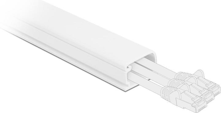 Produktbild Delock Kabelkanal mit Deckel 22 x 15 mm (Kabelkanal, 100 cm)