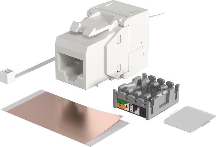 Actual product image EFB Elektronik EFB-Elektronik ECOLAN - Modular input - RJ-45