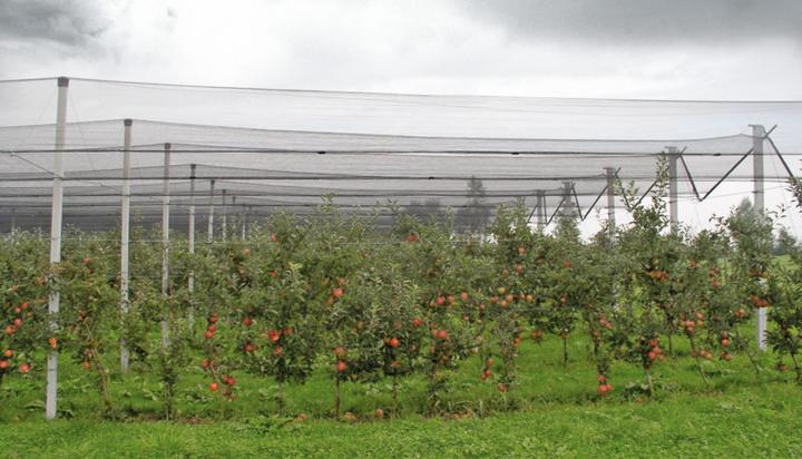 Produktbild Windhager Hagelschutz-Netz
