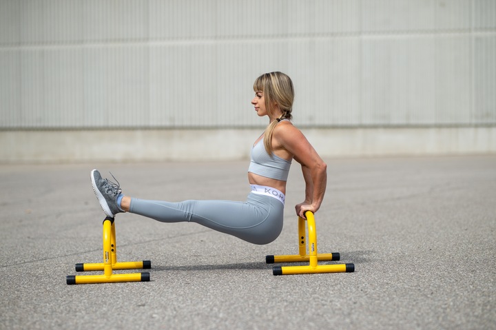 Actual product image Lebert Fitness Parallettes