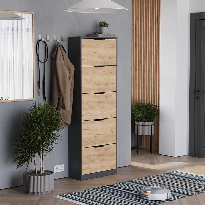 Produktbild Vicco Schuhkipper Luca, Anthrazit/Goldkraft Eiche, 22 x 169 cm mit 5 Fächern