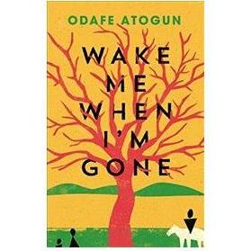 Wake Me When I'm Gone, Belletristik von Odafe Atogun