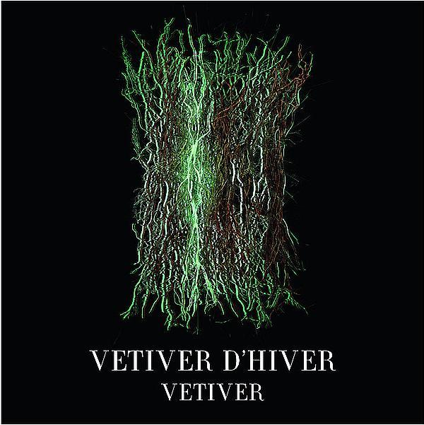 Actual product image Giorgio Armani Vetiver d'Hiver (Eau de toilette, 100 ml)