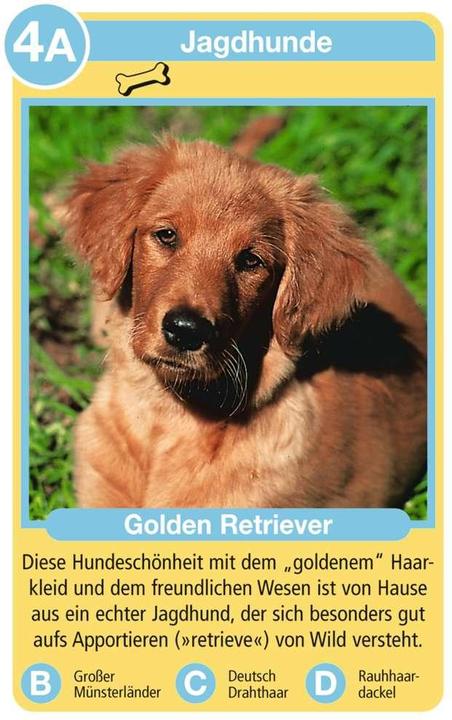 Produktbild Ravensburger Hunde (Deutsch, 3 - 6 Spieler)