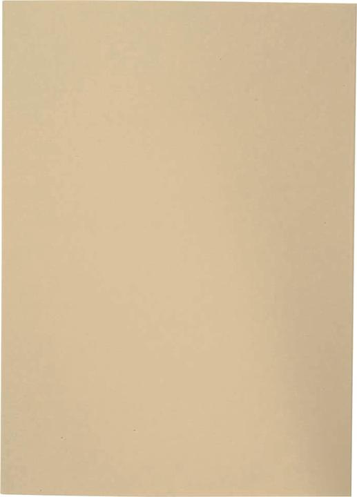 Produktbild Elba 100091650 Aktenordner Karton Beige A4 (A4, 100 x)