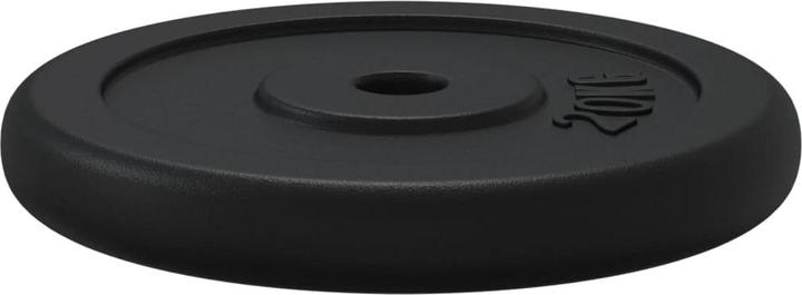 Immagine prodotto vidaXL Hantelscheibe (1 x 20 kg)