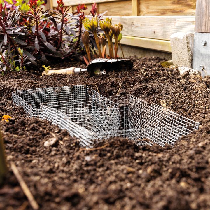 Produktbild Bellissa Blumenzweibel Gamaschen 20 (5er Set)