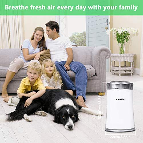 Immagine prodotto Luby Purificatore d'aria