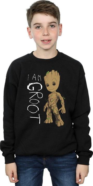 Produktbild Guardians Of The Galaxy I Am Groot Scribbles Sweatshirt Jungen (140, 146)