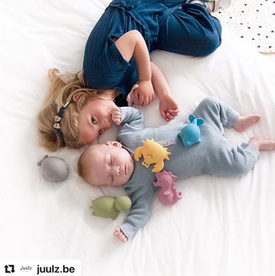 Actual product image Tikiri Rattle Turtle