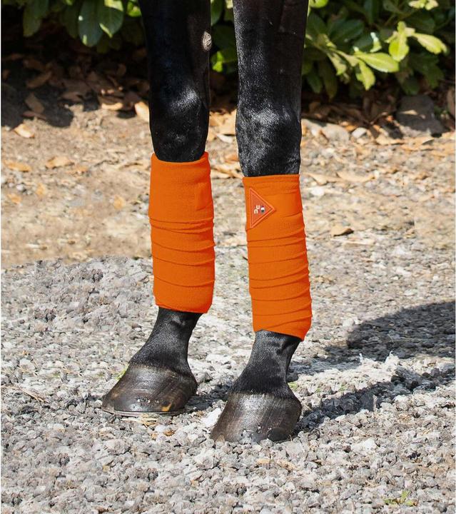 Produktbild Premier Equine 4er Pack Polobänder für Pferde (One Size)
