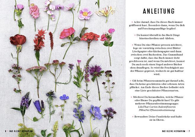 Produktbild Das kleine Herbarium (Deutsch, Saskia de Valk, 2016)