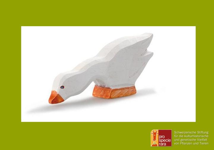 Produktbild Trauffer Diepholzer Gans