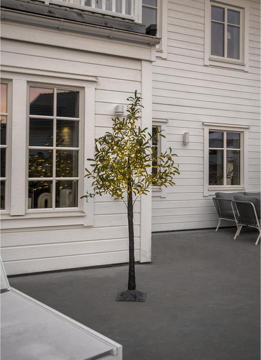 Image du produit Star Trading Arbre de décoration Olivec, 178 LED, 180 cm, vert (56 lm, IP44)