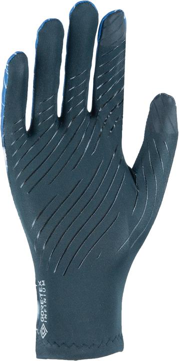 Black/Blue