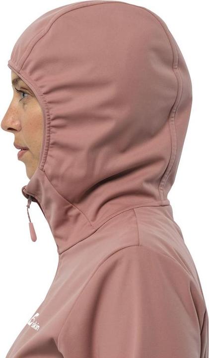 Produktbild Jack Wolfskin Feldberg Hoody W (S)