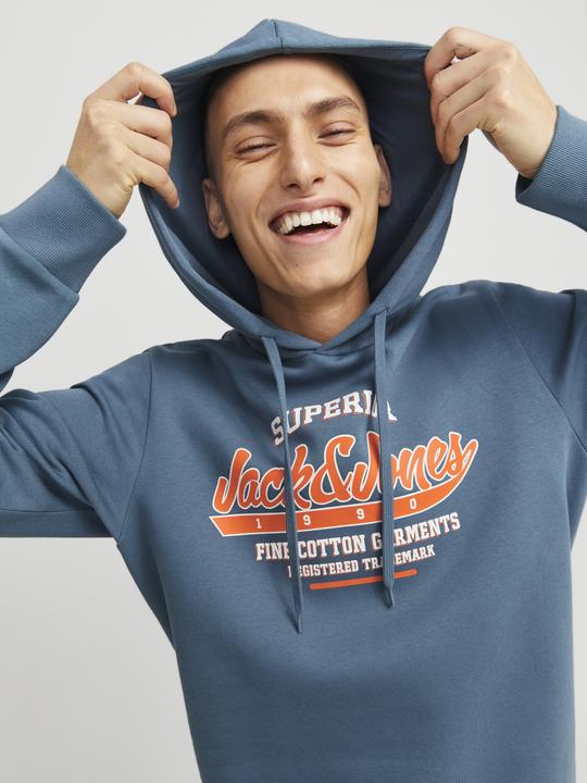 Actual product image Jack & Jones JJELOGO SWEAT HOOD 2 COL 24/25 NOOS (M)