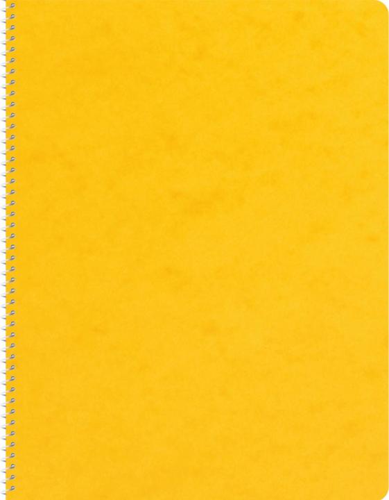 Produktbild Novooo Spiralheft assortiert (E5, Kariert, Weicher Einband)