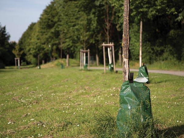 Produktbild Toolland Baumbew?sserungsbeutel - 75 L - 420 g/m? (Baumbewässerungssack)