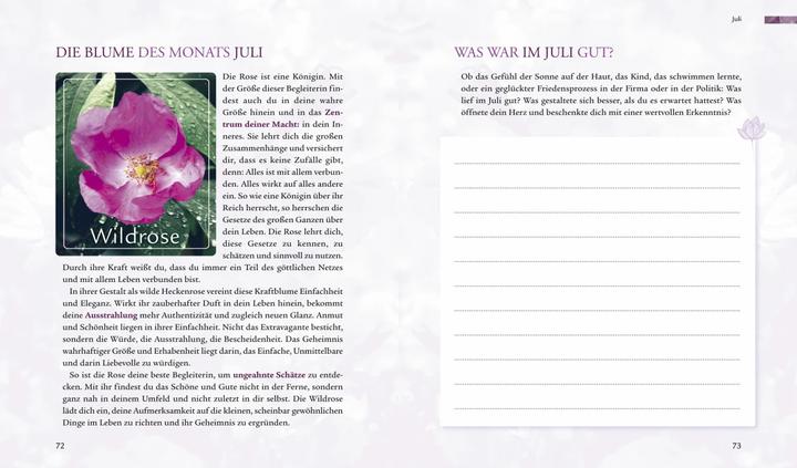 Produktbild Mein Begleiter durch die Jahreszeiten (Deutsch, Franziska Muri, Vera Griebert-Schröder, 2018)