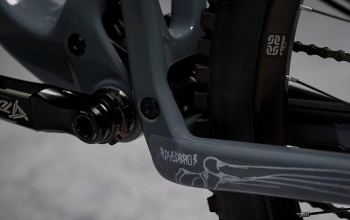 Actual product image Dyedbro Bones (One size, Unique specimen)