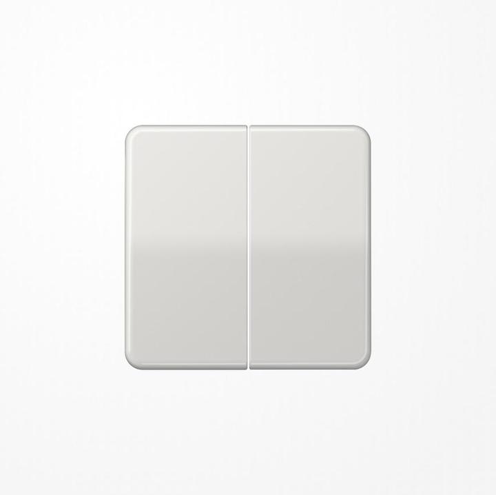 Actual product image JUNG Rocker 2t switch CD lgr glz CD595LG