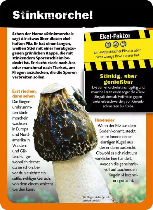 Immagine prodotto Die 100 ekligsten Dinge der Welt (Tedesco, Anna Claybourne, 2020)