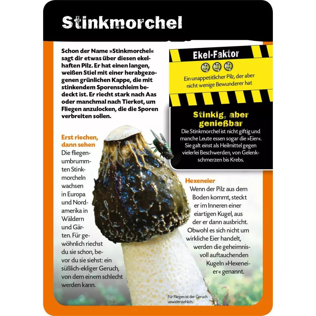 Thumbnail - Die 100 ekligsten Dinge der Welt, Kinderbücher von Anna Claybourne