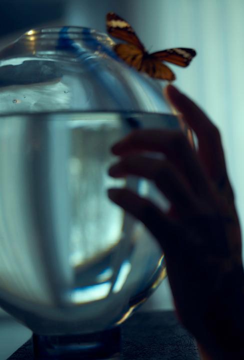 Image du produit Jotex Lines (1x)