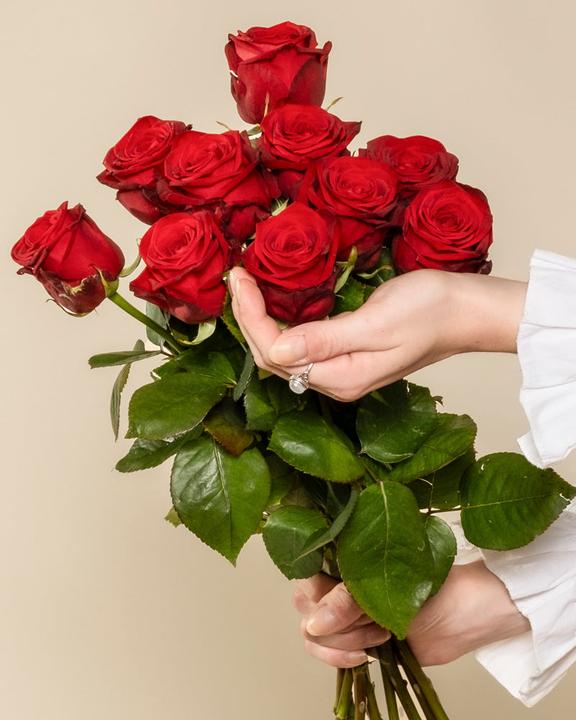 Image du produit feey Roses rouges 20 pcs (Fleurs coupées, 20x)