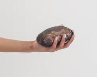 Produktbild Sportful Giara W Packable Jacket (XL)