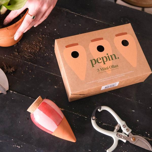 Image du produit Pepin Mini Ollas (Cône d'argile)
