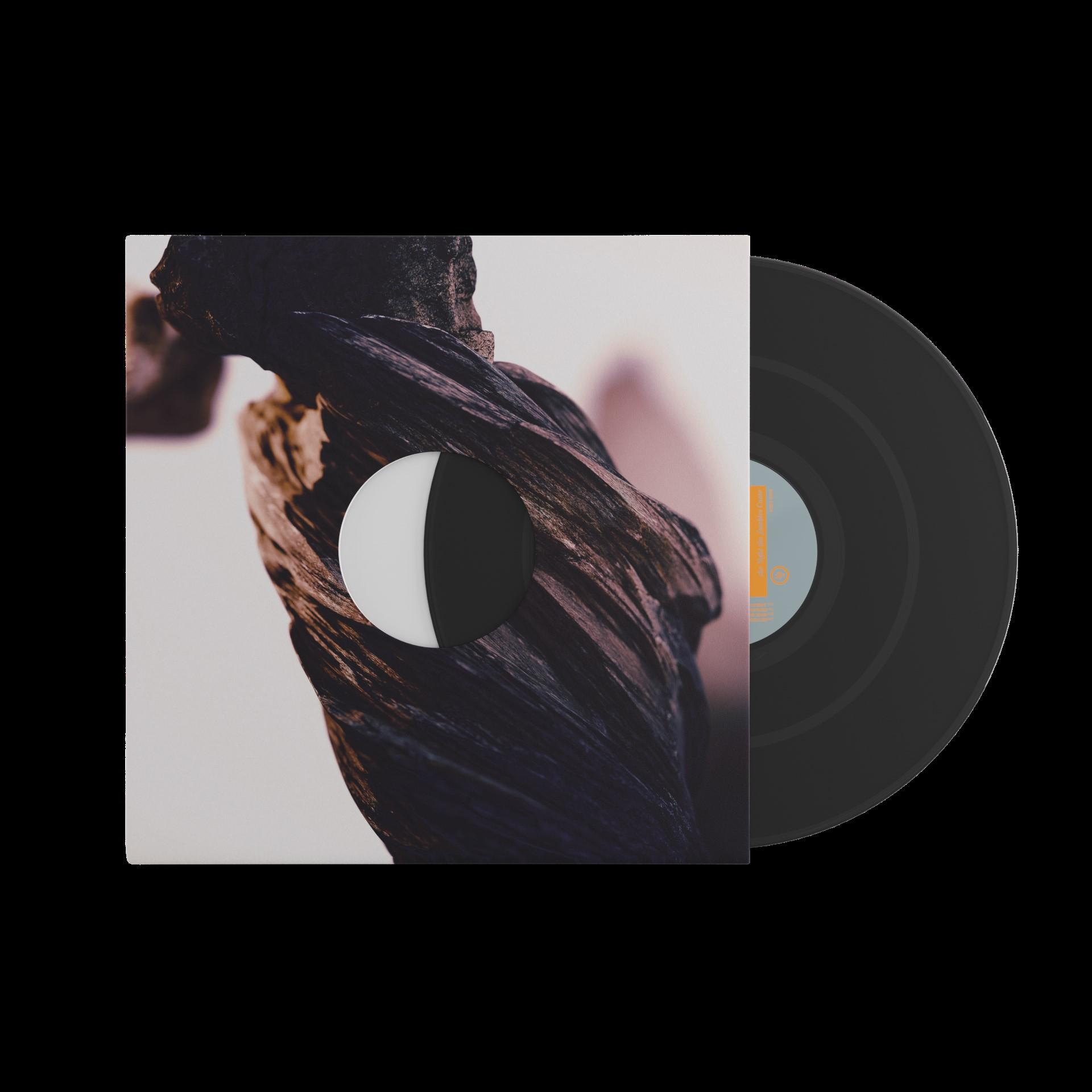 La notte in cui arrivarono gli zombie (LP), Vinili