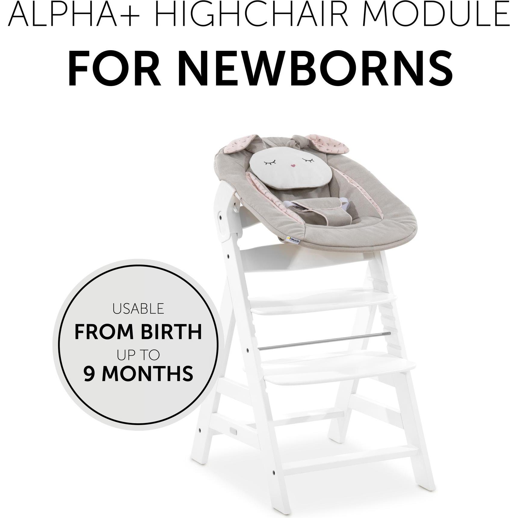 Infant Bouncer Newborn Set Hauck Alpha Bouncer In Hauck Alpha Bouncer 2in1  Buy At Galaxus