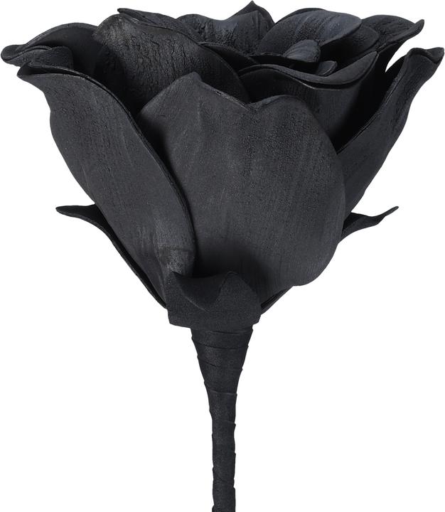 Immagine prodotto EGLO LIVING Molave (65 cm)