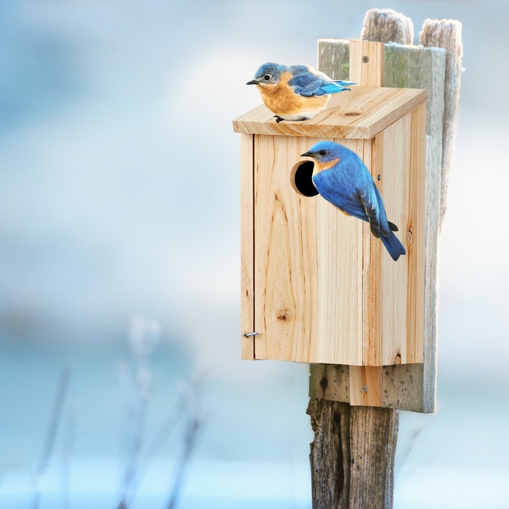Actual product image Relaxdays Nest Aid, Hanging Birdhouse