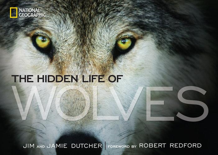 Produktbild PocketBook The Hidden Life of Wolves (Englisch, Jamie Dutcher, Jim Dutcher, 2013)