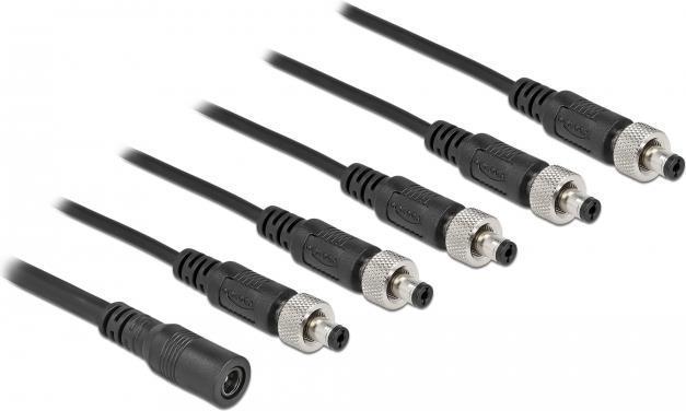 Image du produit Delock Câble de distribution DC 5,5 x 2,1 mm 1 x femelle vers 5 x mâle vissable (0.50 m)