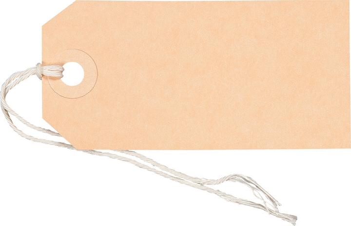 Actual product image Biella Tags and labels (50 x)